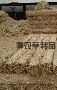 給樹(shù)干綁草繩有什么影響？